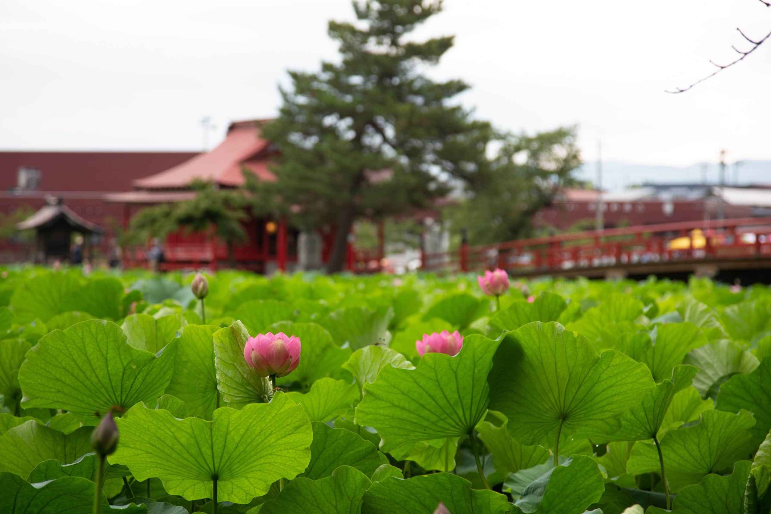 猿賀神社