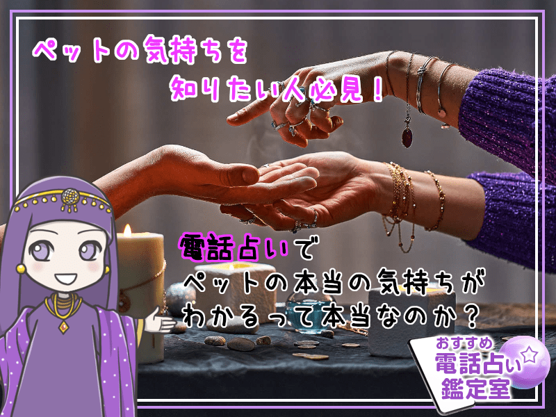 5.ペットの気持ちを知りたい人必見!電話占いでペットの本当の気持ちがわかるって本当なのか?