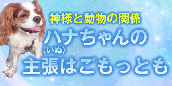 神様と動物の関係 ハナちゃん(いぬ)の主張はごもっとも