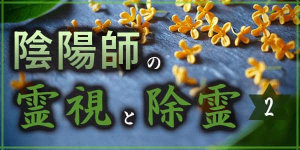 陰陽師の霊視と除霊2
