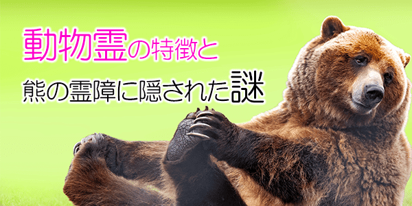 動物霊の特徴と熊の霊障に隠された謎